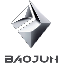 باوجون اليمن